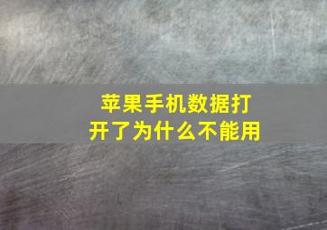 苹果手机数据打开了为什么不能用