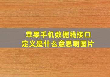 苹果手机数据线接口定义是什么意思啊图片