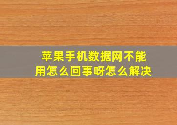 苹果手机数据网不能用怎么回事呀怎么解决