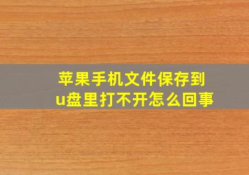 苹果手机文件保存到u盘里打不开怎么回事