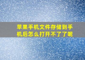 苹果手机文件存储到手机后怎么打开不了了呢