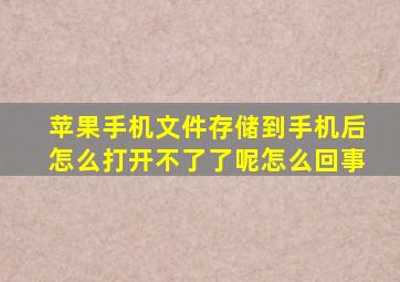 苹果手机文件存储到手机后怎么打开不了了呢怎么回事