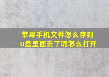 苹果手机文件怎么存到u盘里面去了呢怎么打开