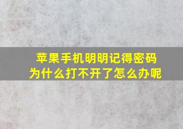 苹果手机明明记得密码为什么打不开了怎么办呢