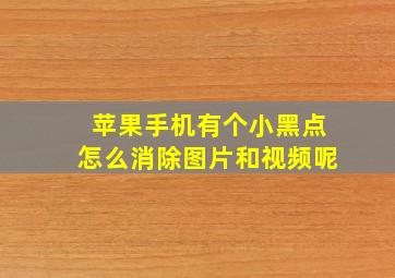 苹果手机有个小黑点怎么消除图片和视频呢