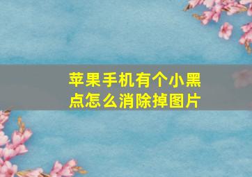 苹果手机有个小黑点怎么消除掉图片