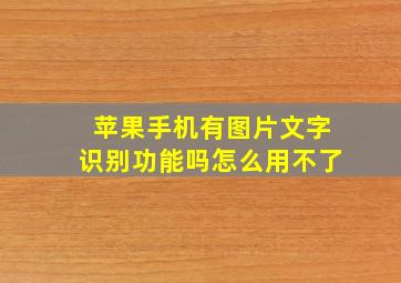 苹果手机有图片文字识别功能吗怎么用不了