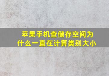 苹果手机查储存空间为什么一直在计算类别大小