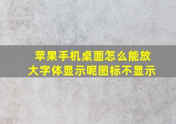 苹果手机桌面怎么能放大字体显示呢图标不显示