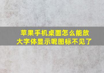 苹果手机桌面怎么能放大字体显示呢图标不见了