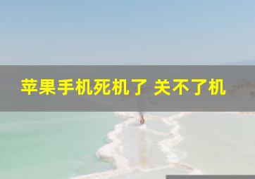 苹果手机死机了 关不了机