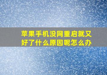 苹果手机没网重启就又好了什么原因呢怎么办