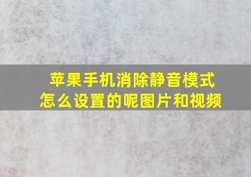 苹果手机消除静音模式怎么设置的呢图片和视频