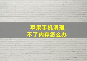 苹果手机清理不了内存怎么办