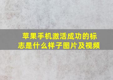 苹果手机激活成功的标志是什么样子图片及视频