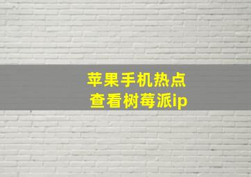 苹果手机热点查看树莓派ip