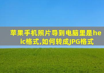 苹果手机照片导到电脑里是heic格式,如何转成JPG格式