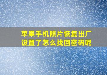 苹果手机照片恢复出厂设置了怎么找回密码呢