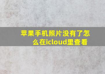 苹果手机照片没有了怎么在icloud里查看