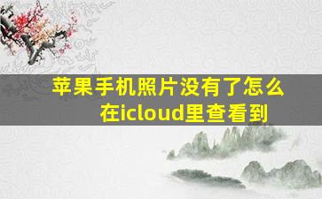 苹果手机照片没有了怎么在icloud里查看到