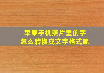 苹果手机照片里的字怎么转换成文字格式呢