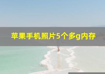 苹果手机照片5个多g内存