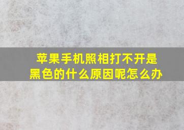 苹果手机照相打不开是黑色的什么原因呢怎么办