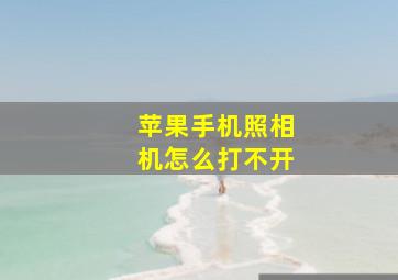 苹果手机照相机怎么打不开