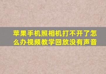 苹果手机照相机打不开了怎么办视频教学回放没有声音