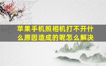 苹果手机照相机打不开什么原因造成的呢怎么解决