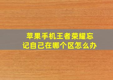 苹果手机王者荣耀忘记自己在哪个区怎么办