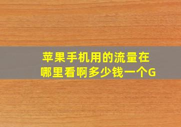 苹果手机用的流量在哪里看啊多少钱一个G