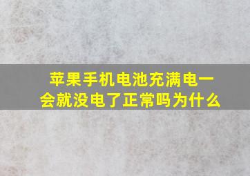 苹果手机电池充满电一会就没电了正常吗为什么