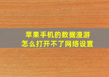 苹果手机的数据漫游怎么打开不了网络设置