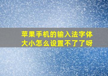 苹果手机的输入法字体大小怎么设置不了了呀