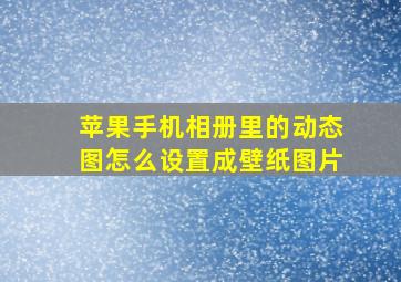 苹果手机相册里的动态图怎么设置成壁纸图片