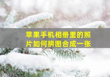 苹果手机相册里的照片如何拼图合成一张