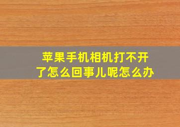 苹果手机相机打不开了怎么回事儿呢怎么办