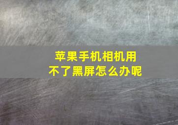 苹果手机相机用不了黑屏怎么办呢