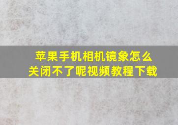 苹果手机相机镜象怎么关闭不了呢视频教程下载