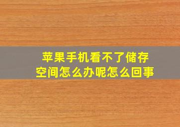 苹果手机看不了储存空间怎么办呢怎么回事