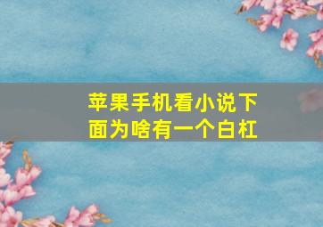 苹果手机看小说下面为啥有一个白杠