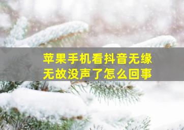 苹果手机看抖音无缘无故没声了怎么回事