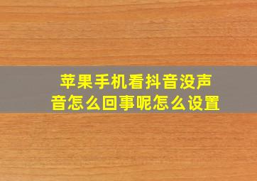 苹果手机看抖音没声音怎么回事呢怎么设置