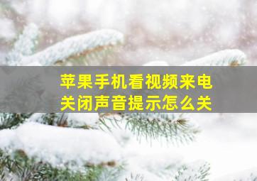 苹果手机看视频来电关闭声音提示怎么关