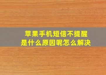 苹果手机短信不提醒是什么原因呢怎么解决