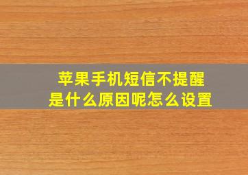 苹果手机短信不提醒是什么原因呢怎么设置