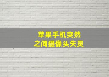 苹果手机突然之间摄像头失灵