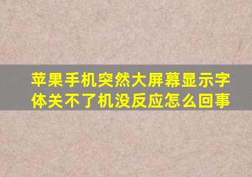 苹果手机突然大屏幕显示字体关不了机没反应怎么回事