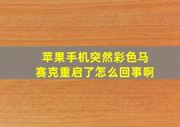 苹果手机突然彩色马赛克重启了怎么回事啊